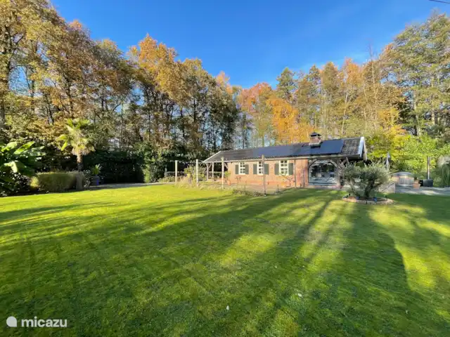 Herfstfoto